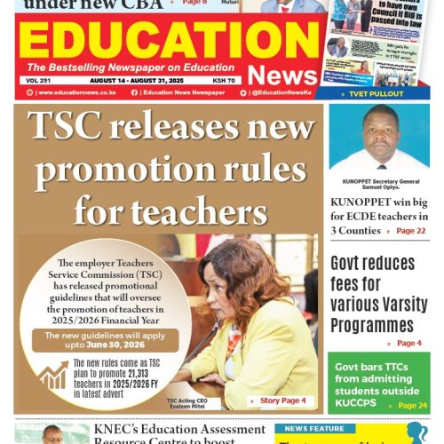 Education News Newspaper Vol. 291 + FREE TVET Pull Out